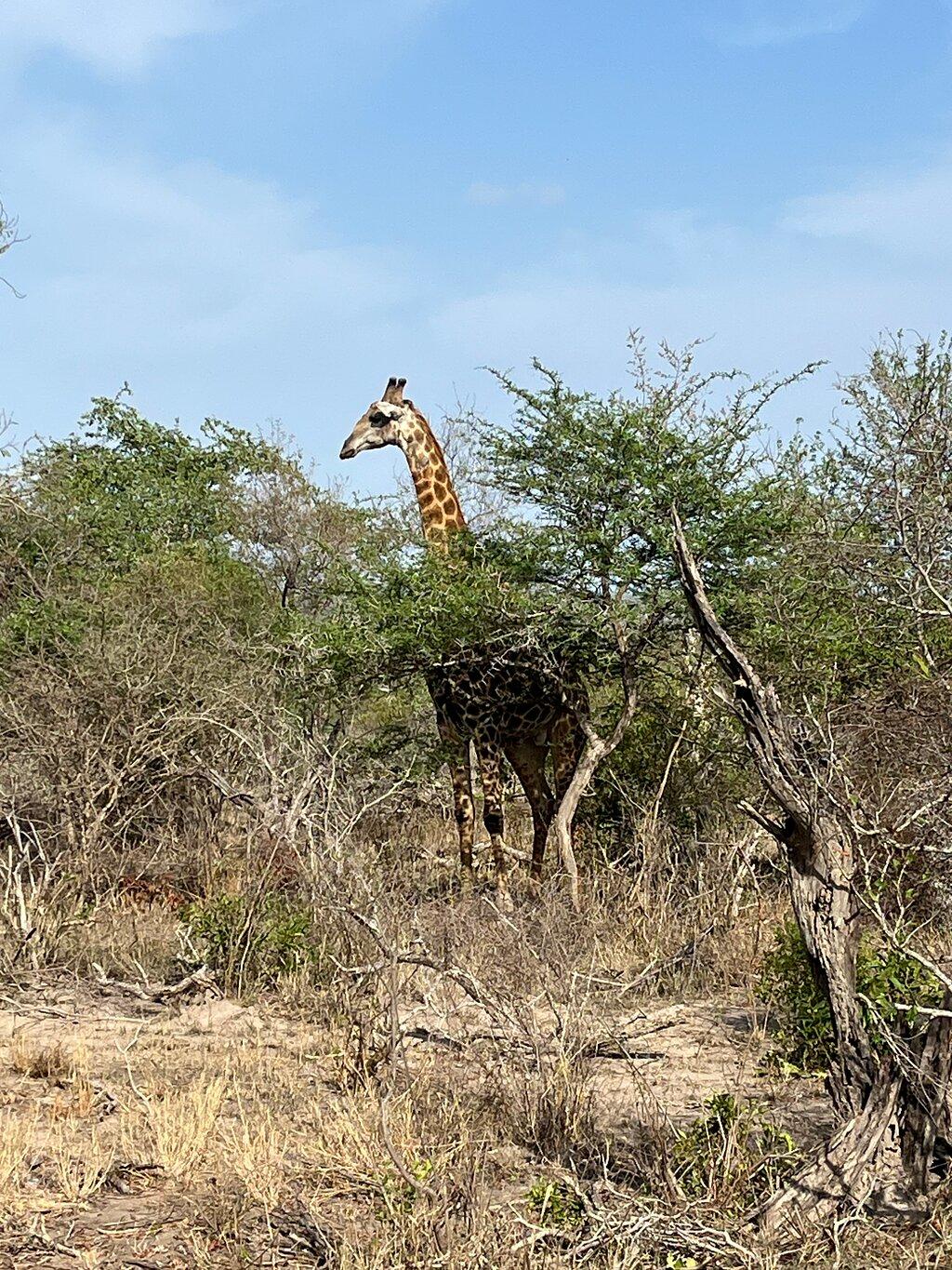 Review photo