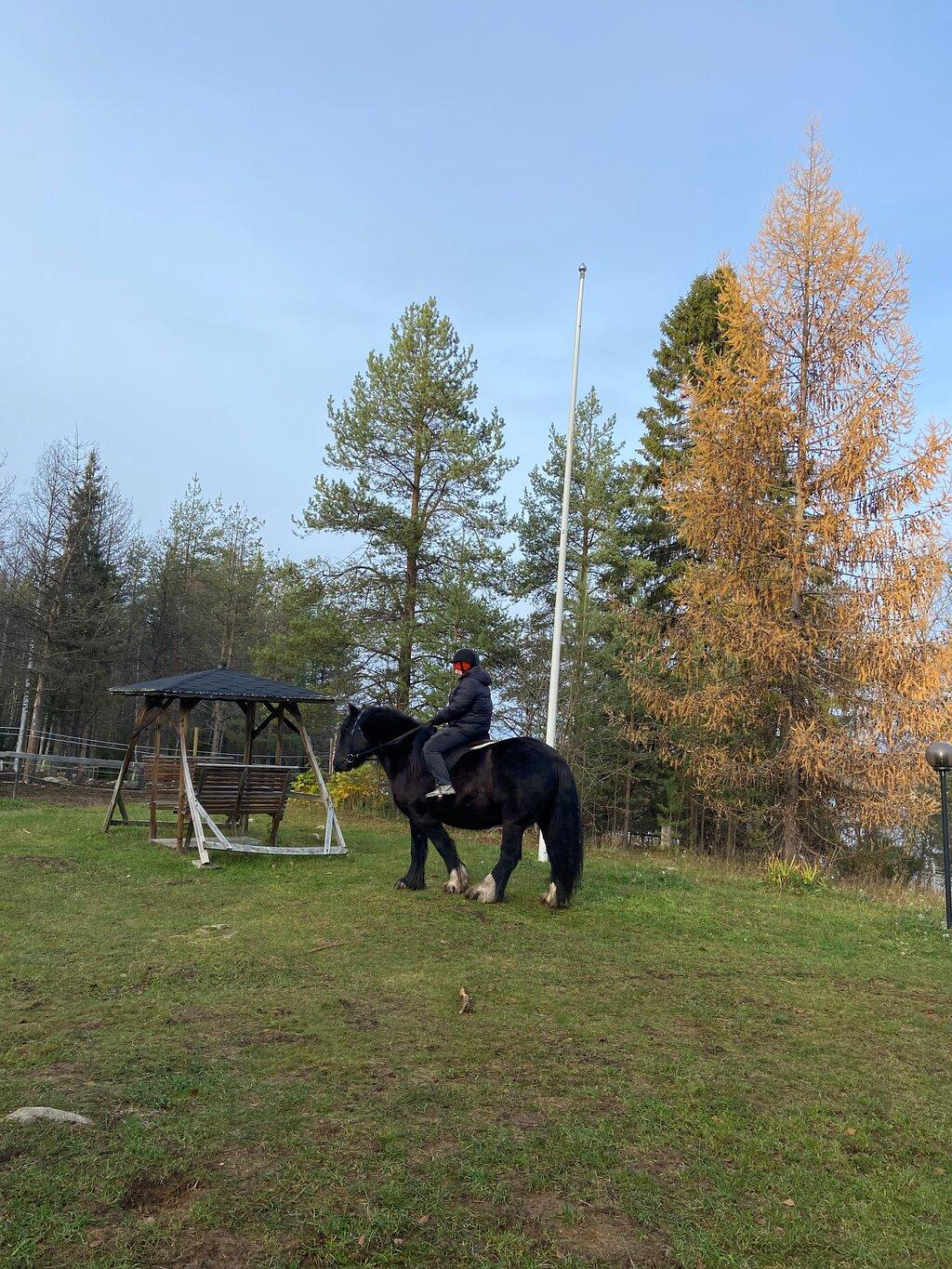 Review photo