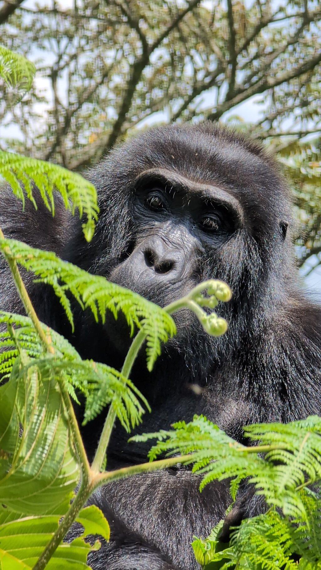 Review photo