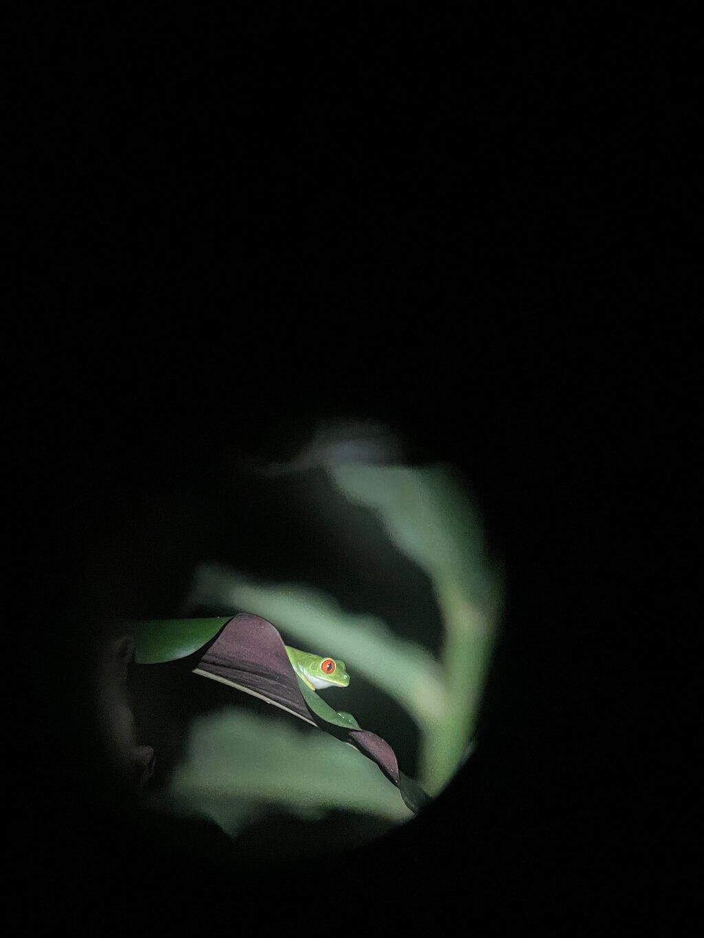 Review photo
