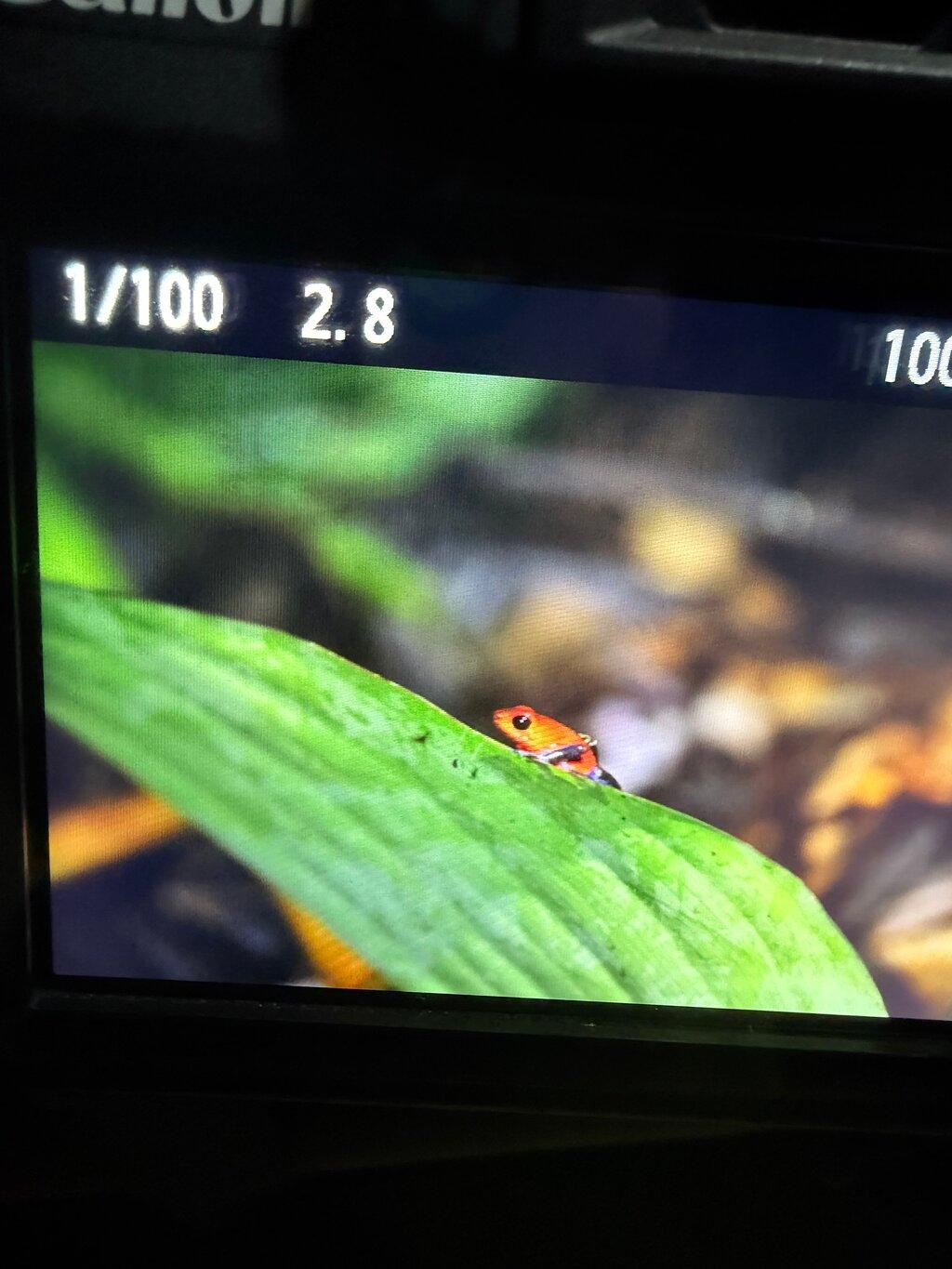 Review photo