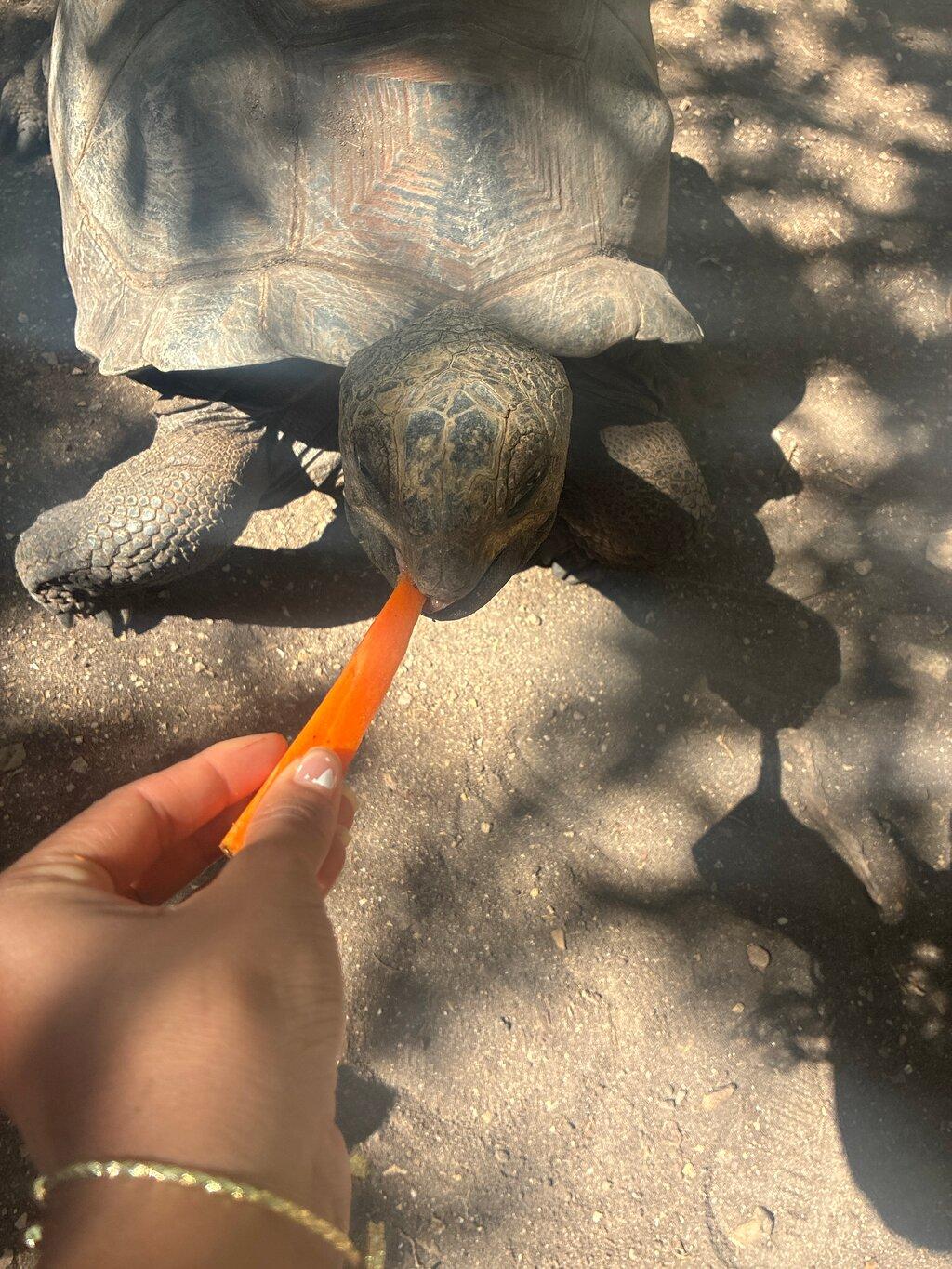 Review photo