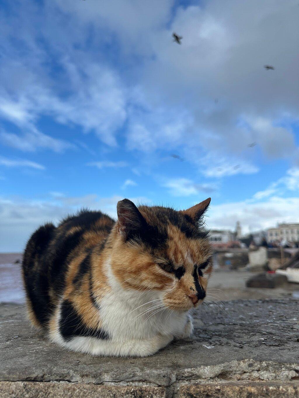Review photo