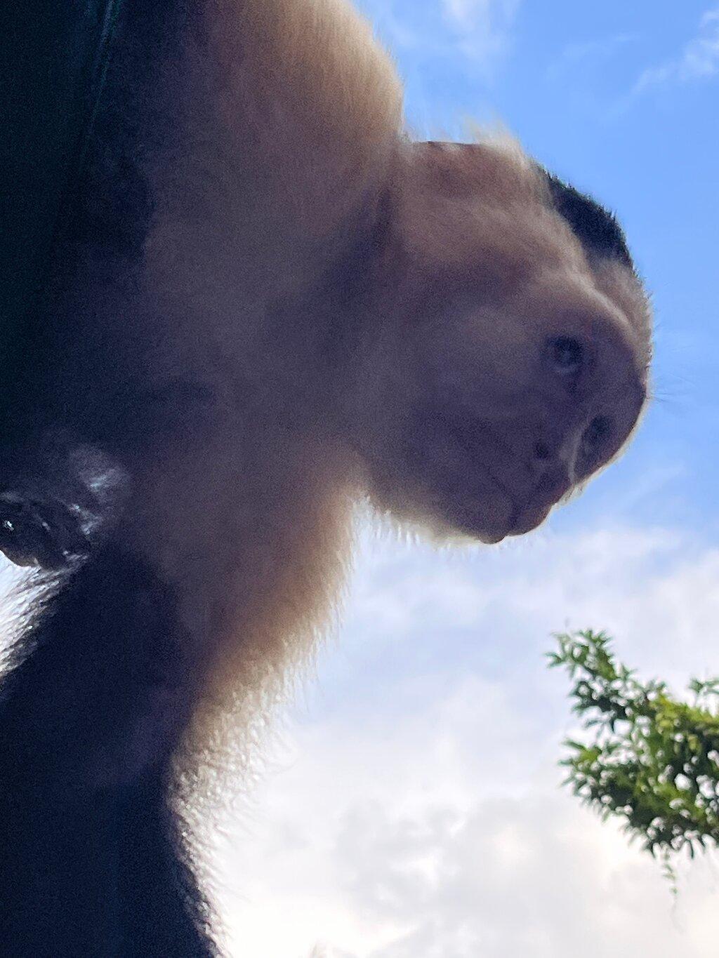Review photo