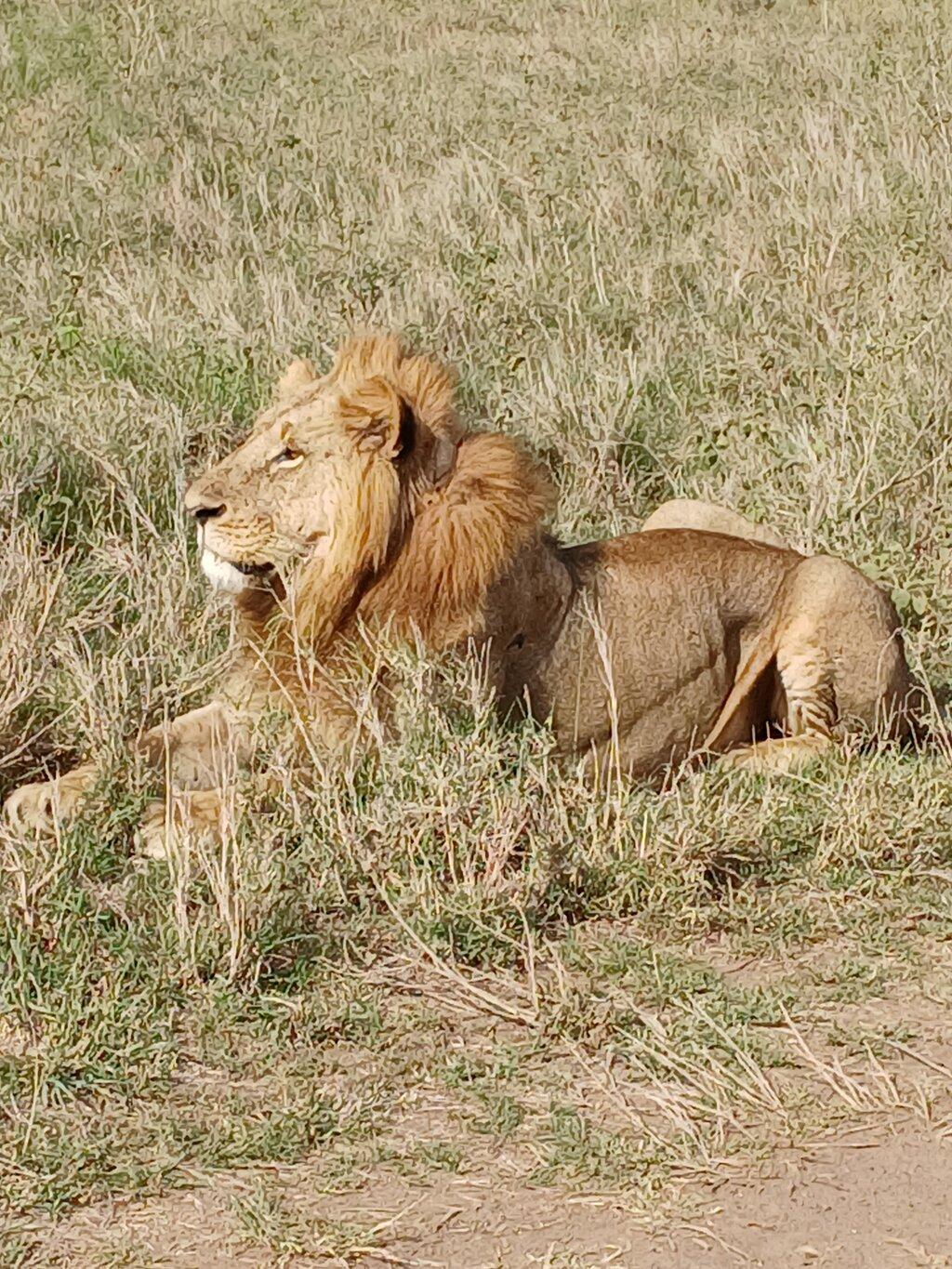 Review photo