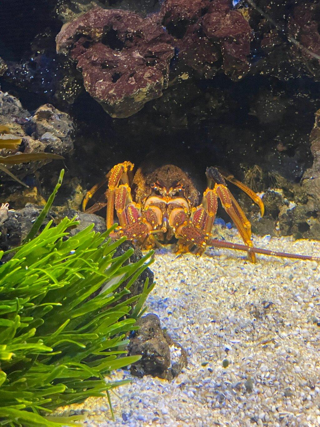 Review photo