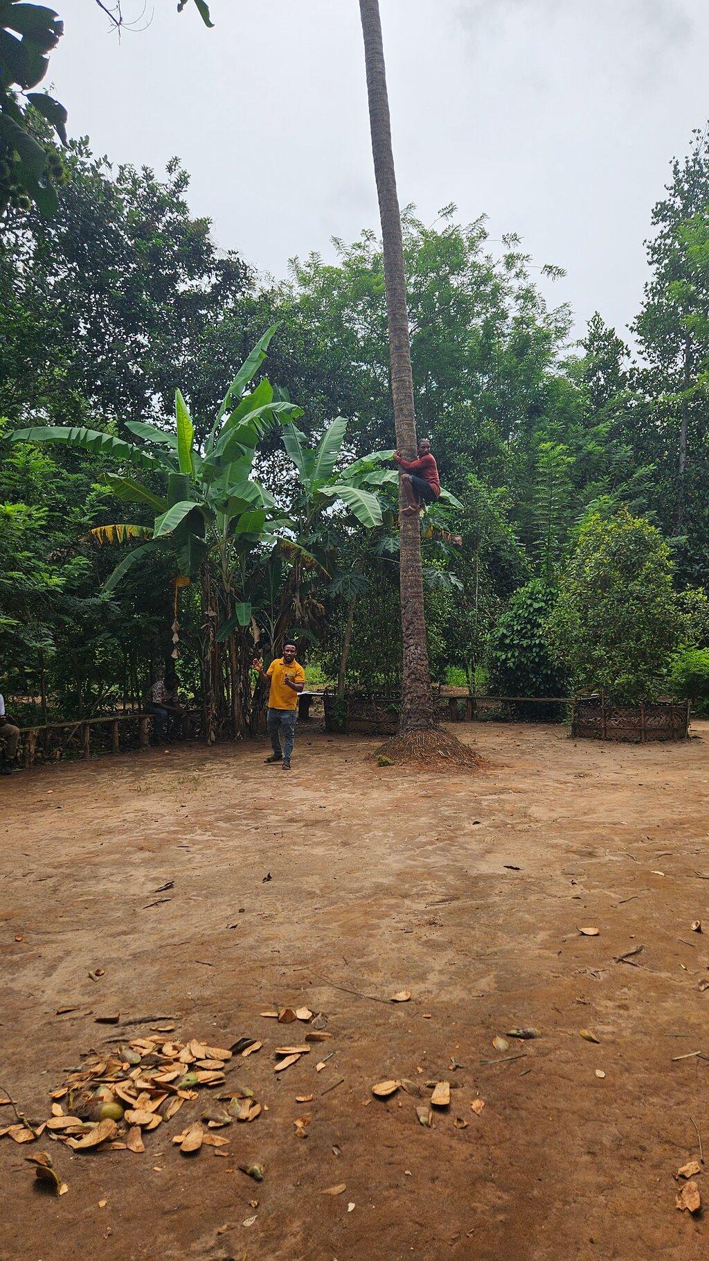 Review photo
