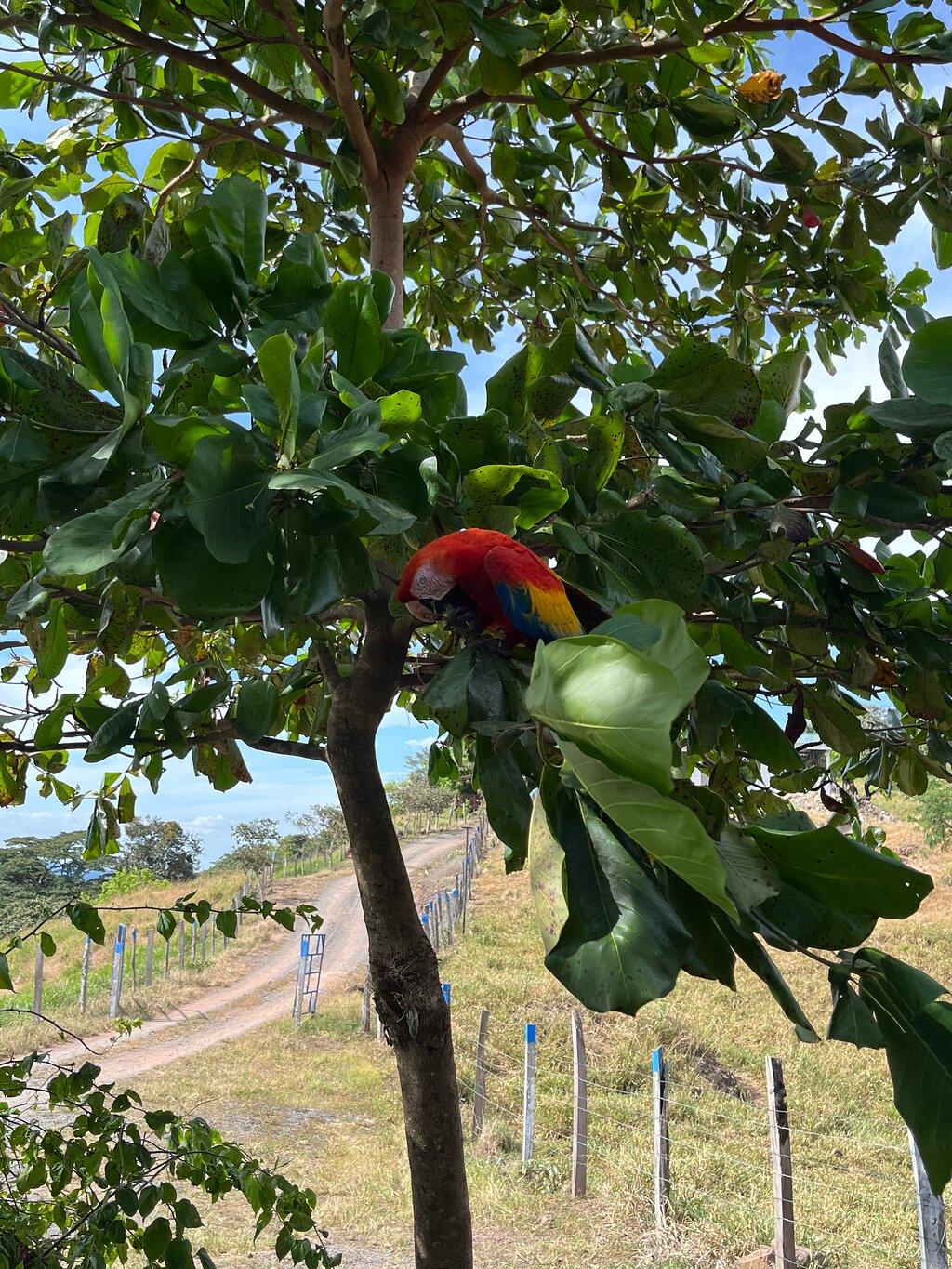 Review photo