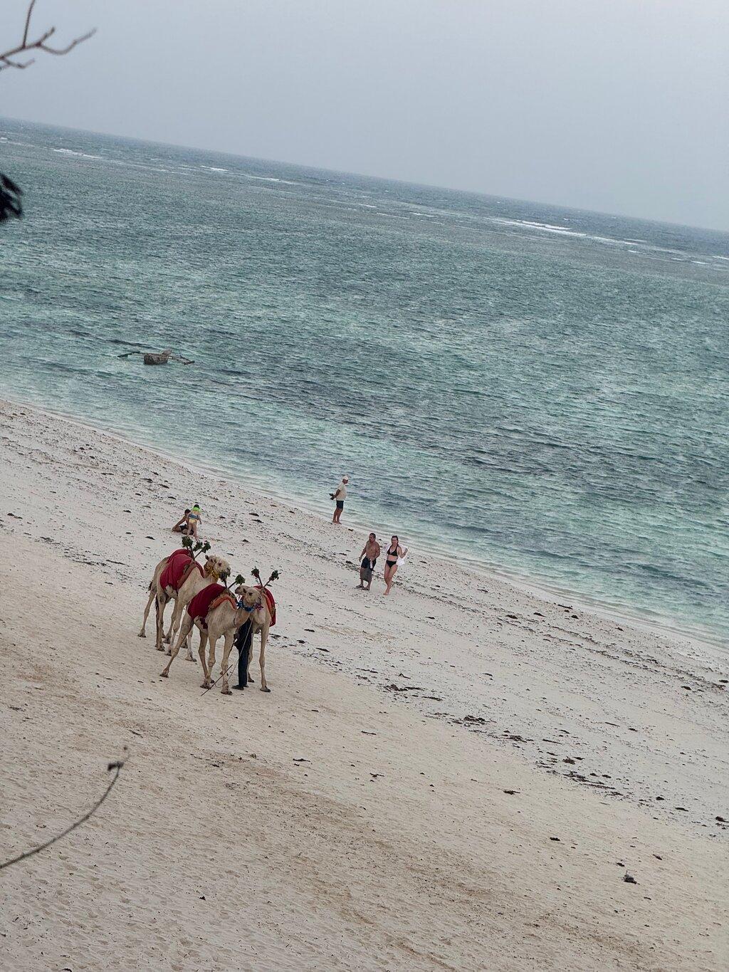 Review photo