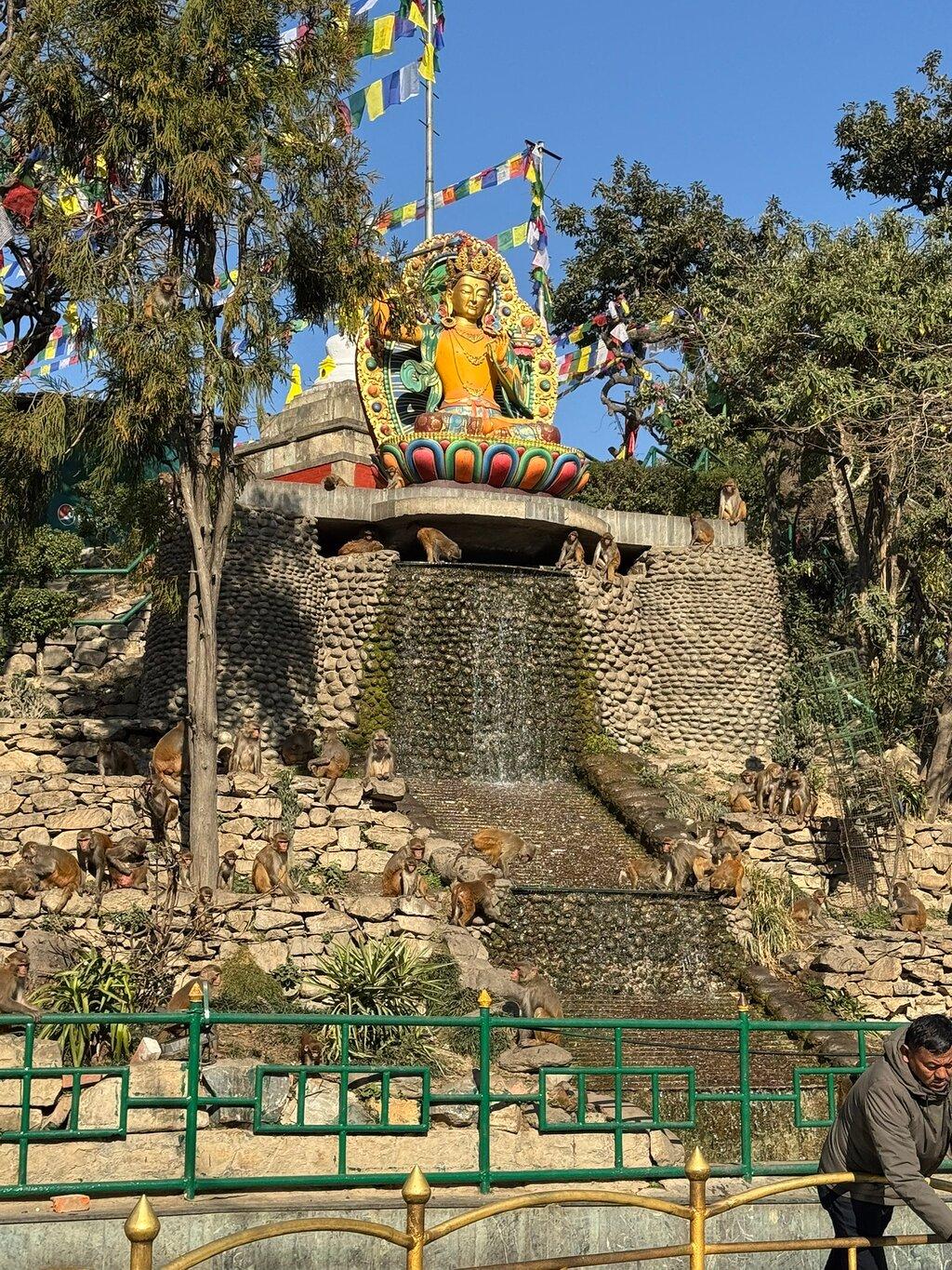 Review photo