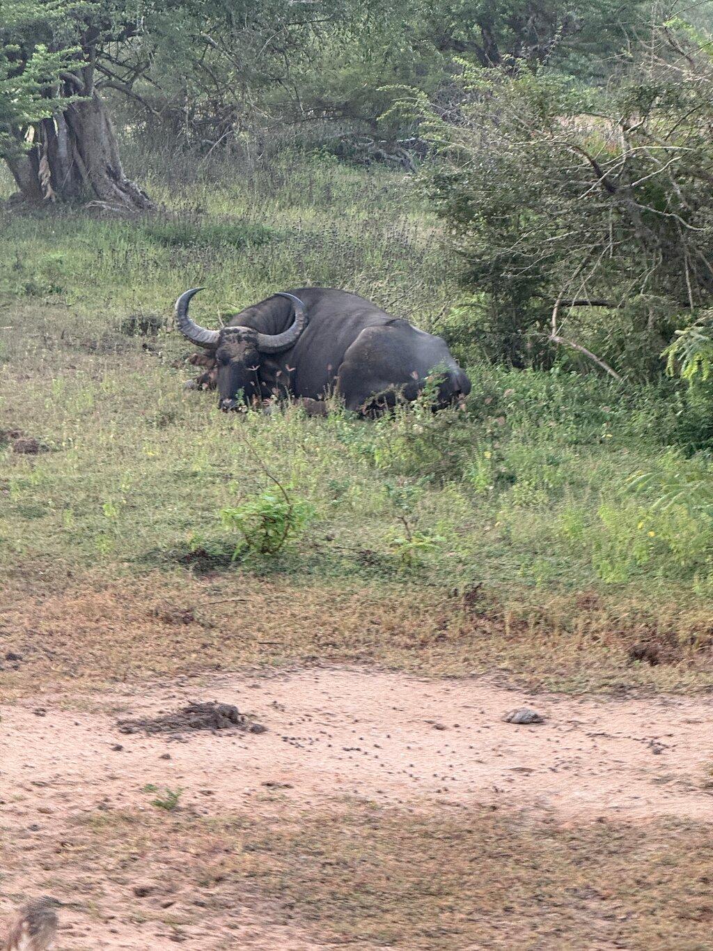 Review photo