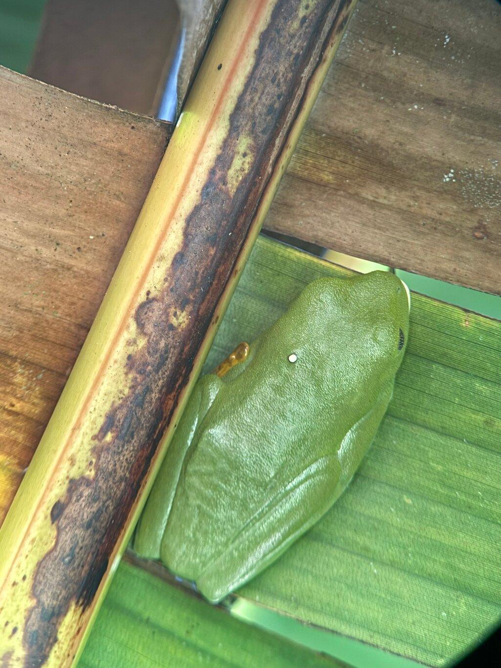 Review photo
