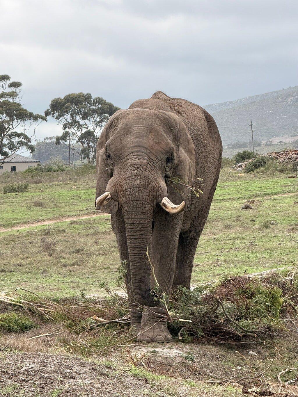 Review photo