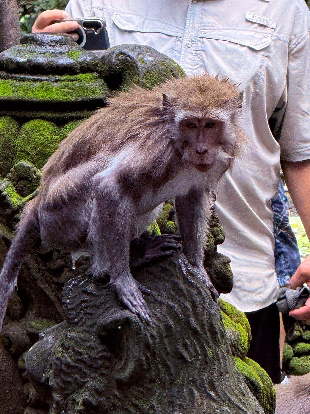 Review photo