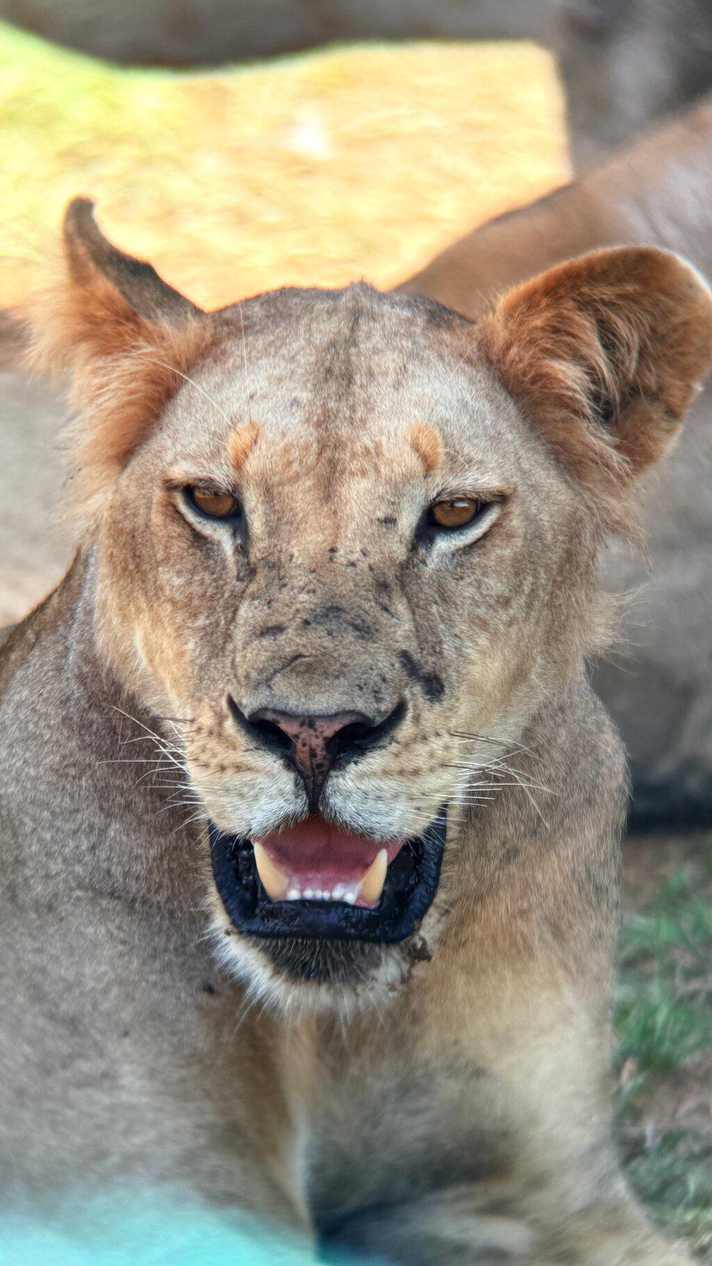 Review photo