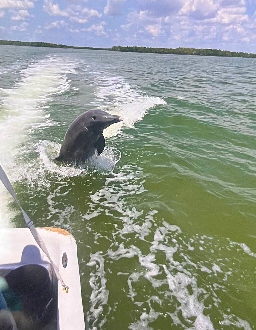 Review photo