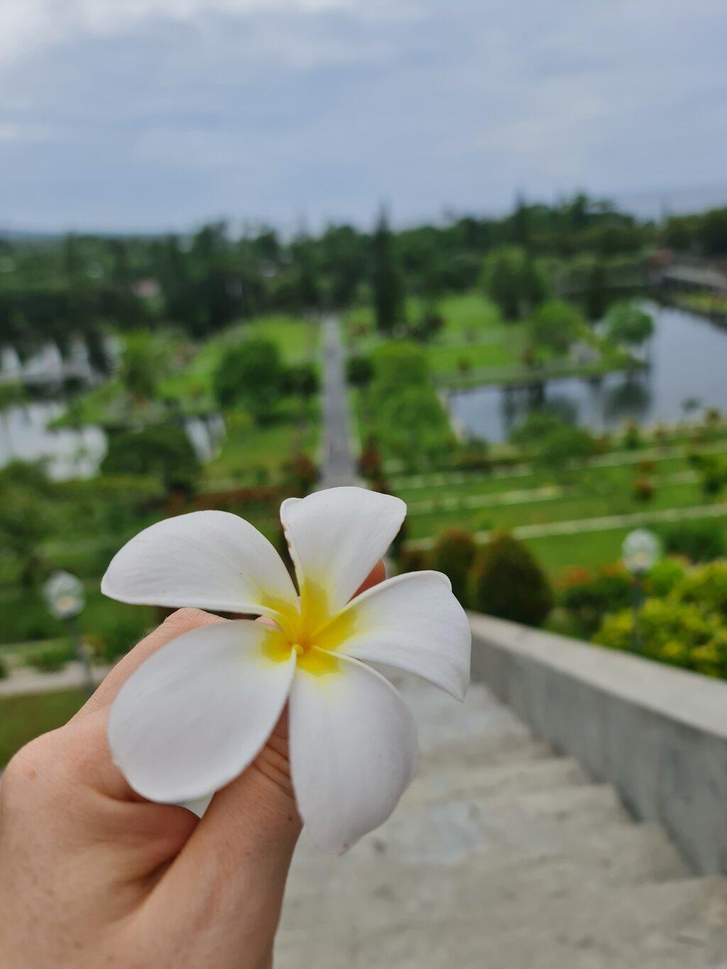 Review photo