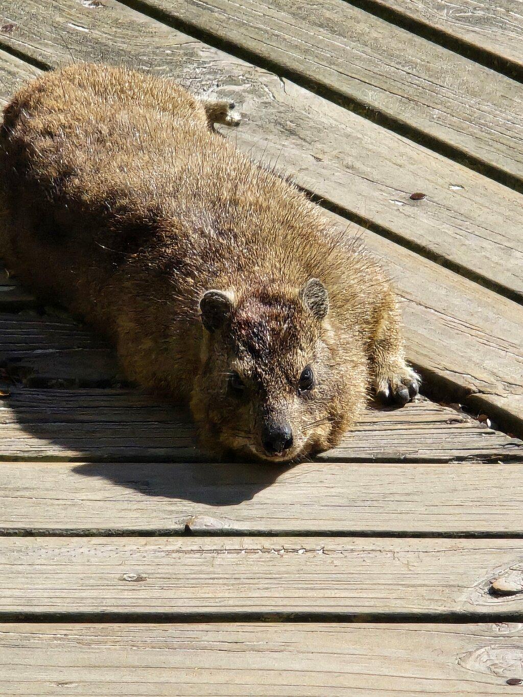 Review photo