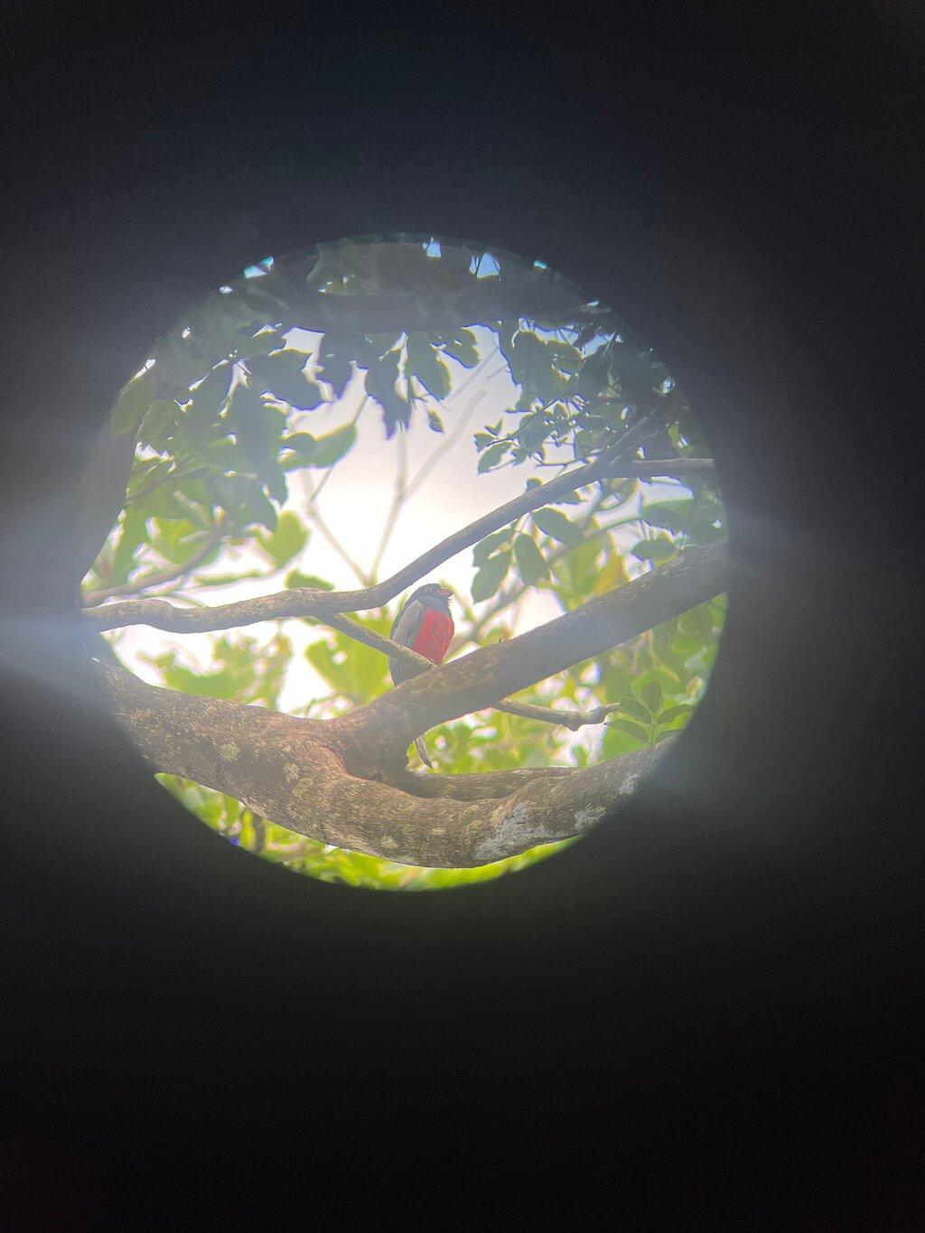 Review photo