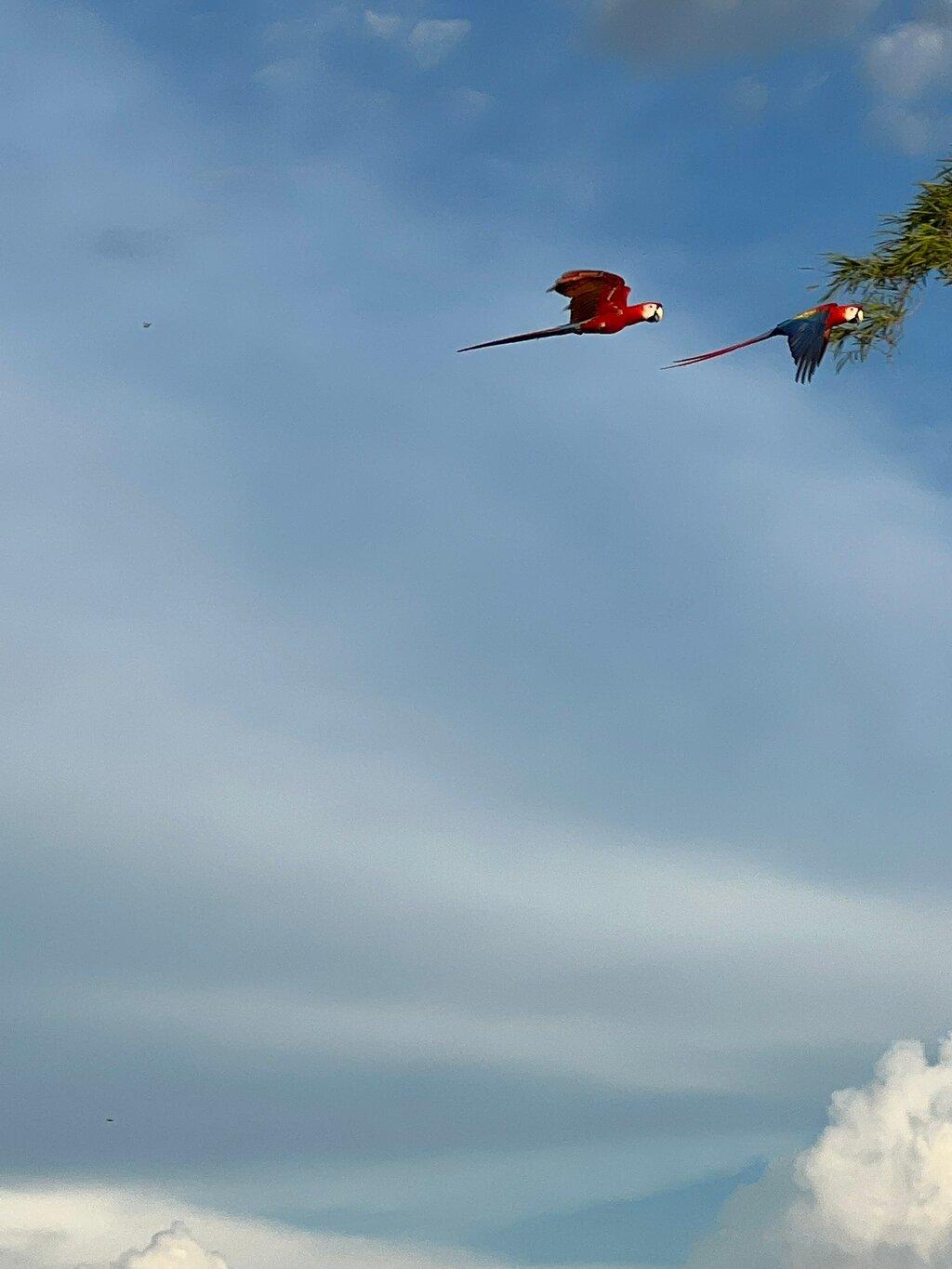 Review photo