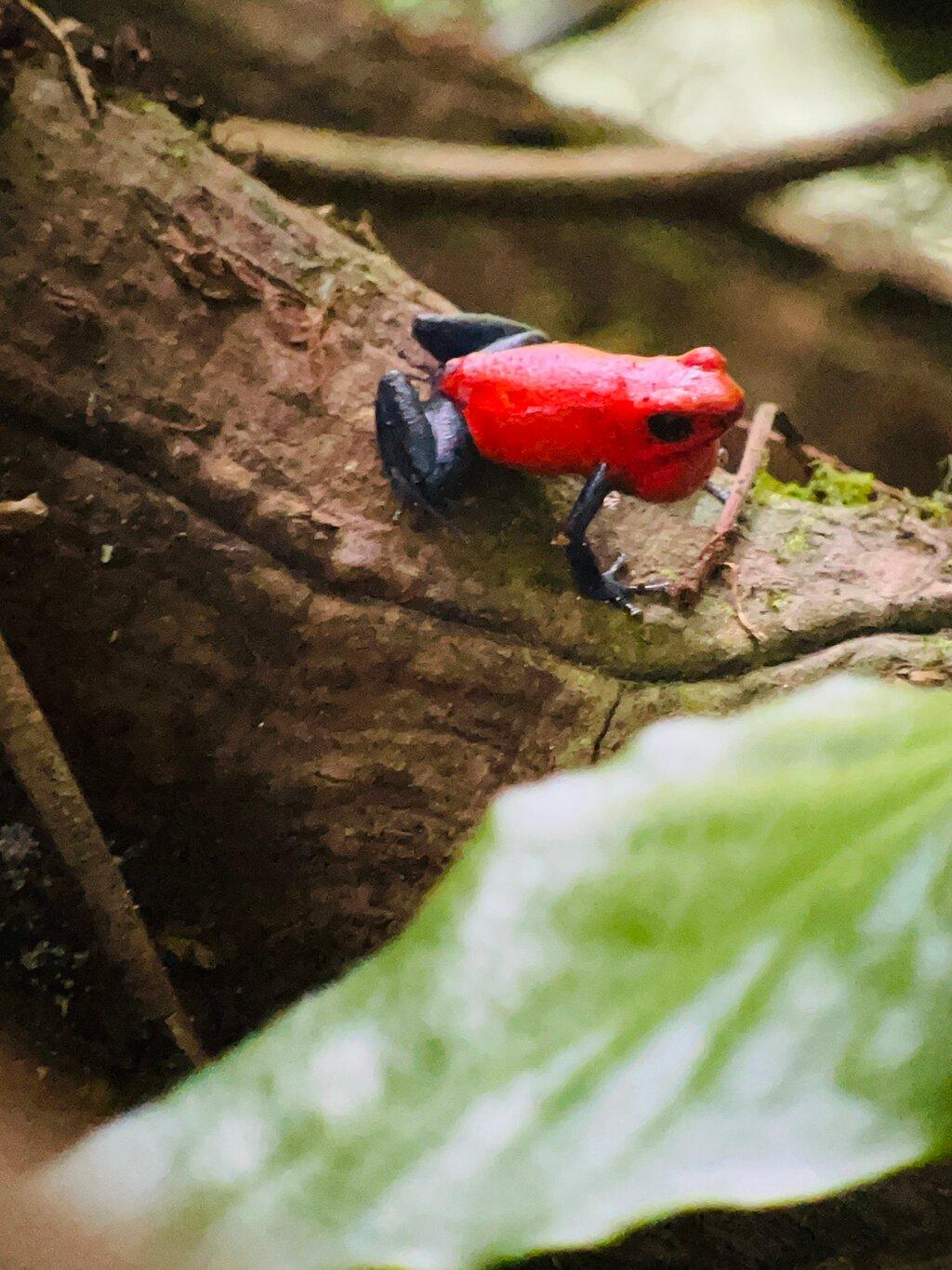 Review photo