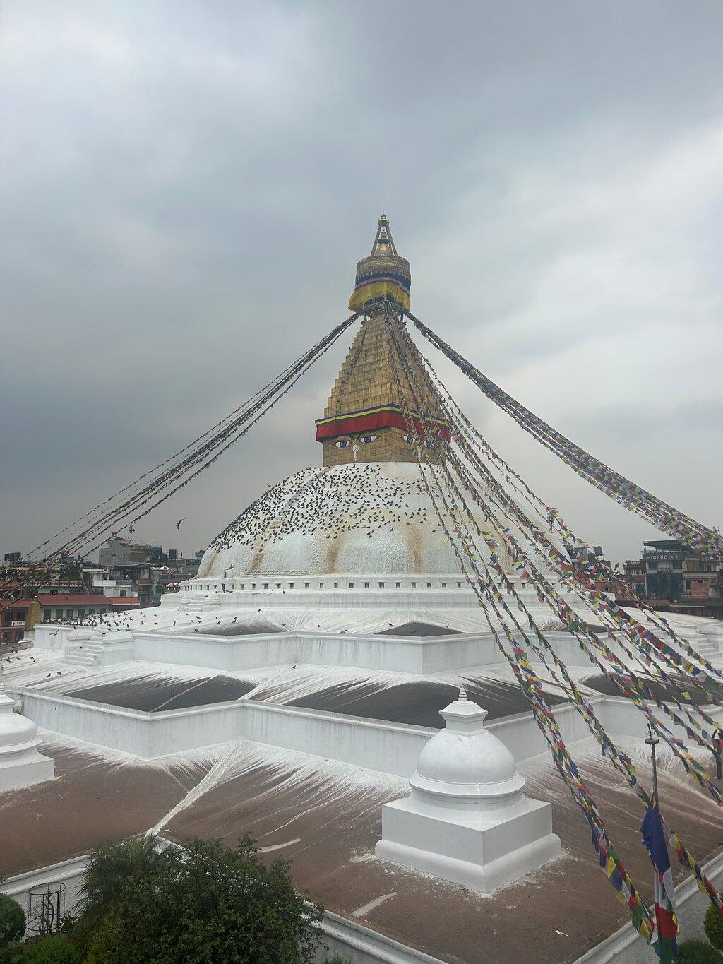 Review photo