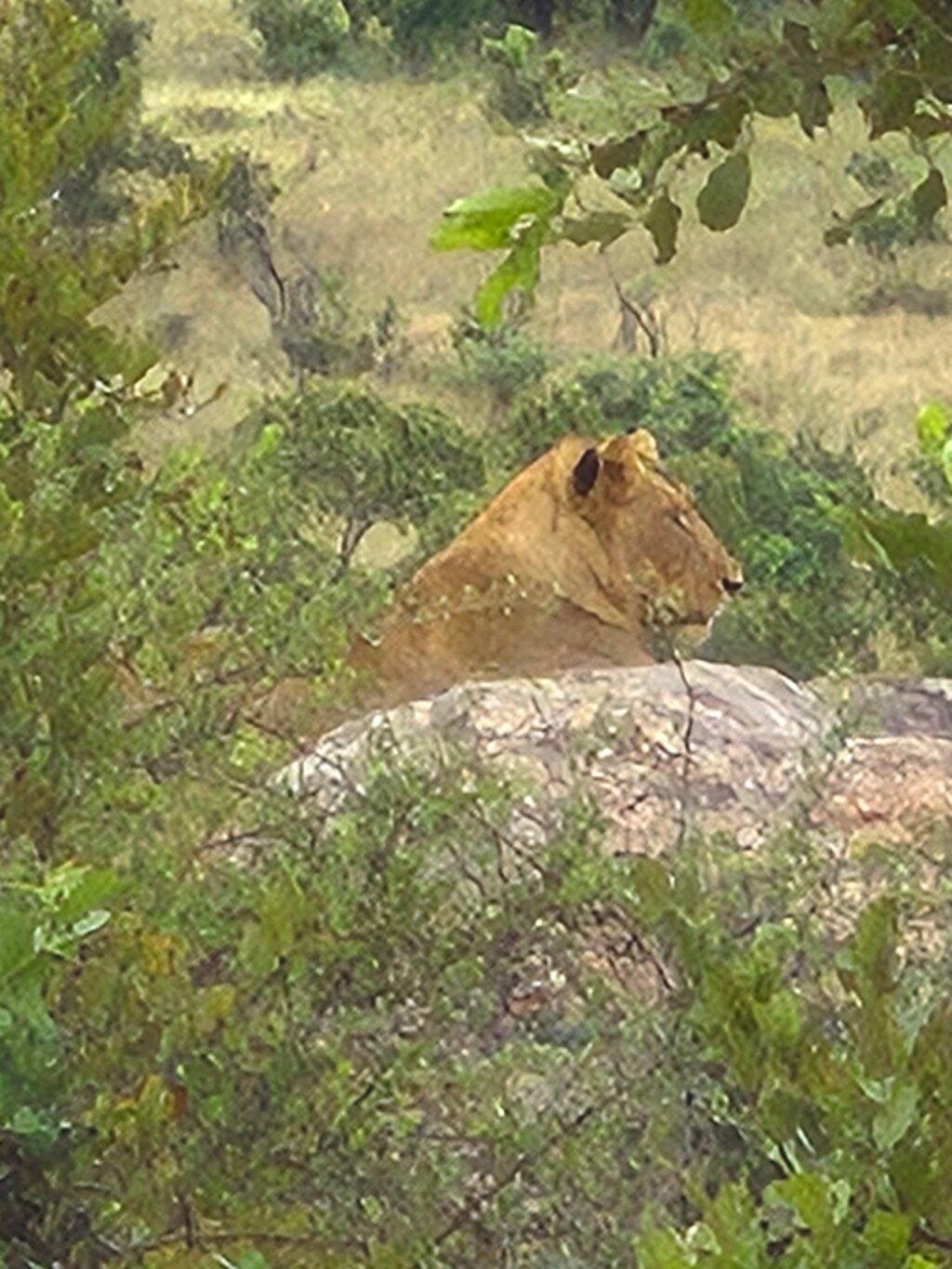 Review photo