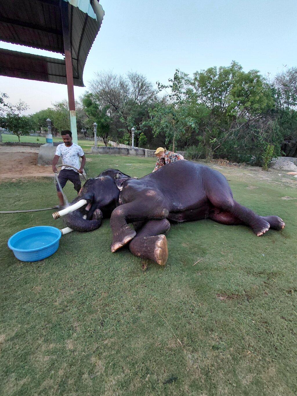 Review photo