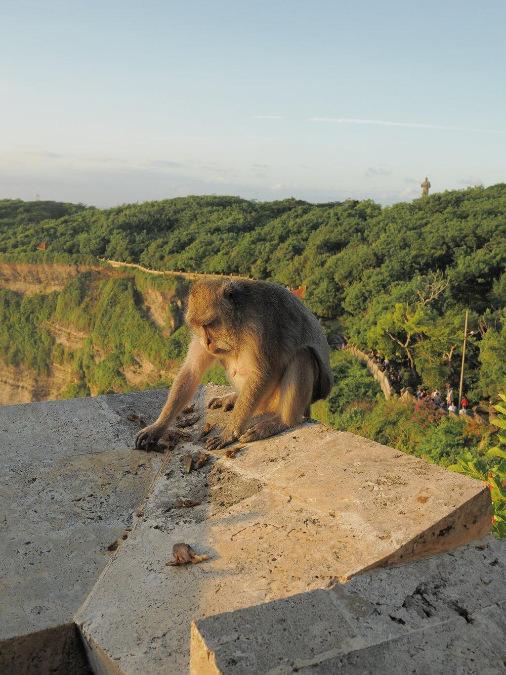 Review photo