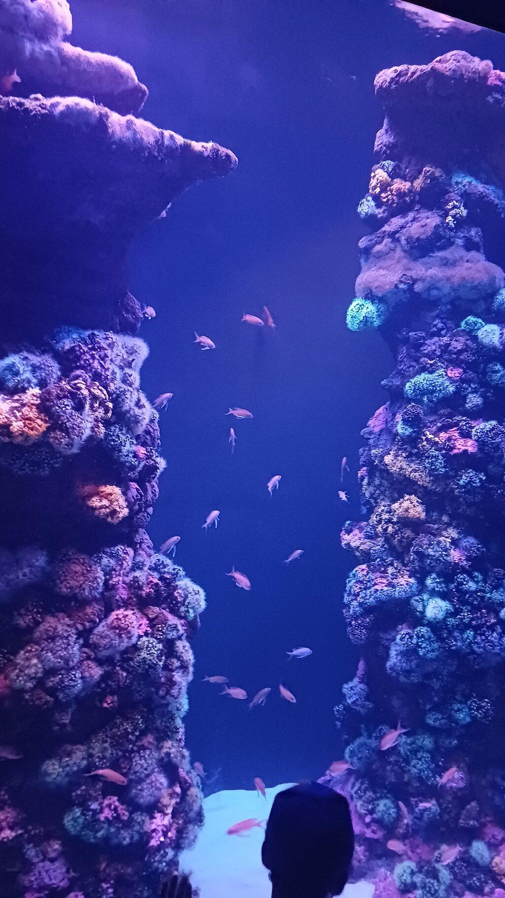 Review photo