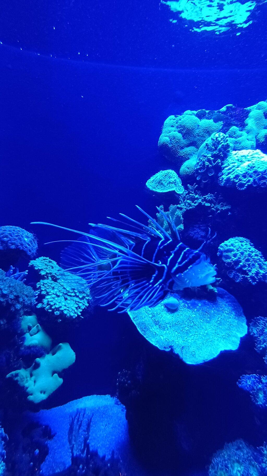 Review photo