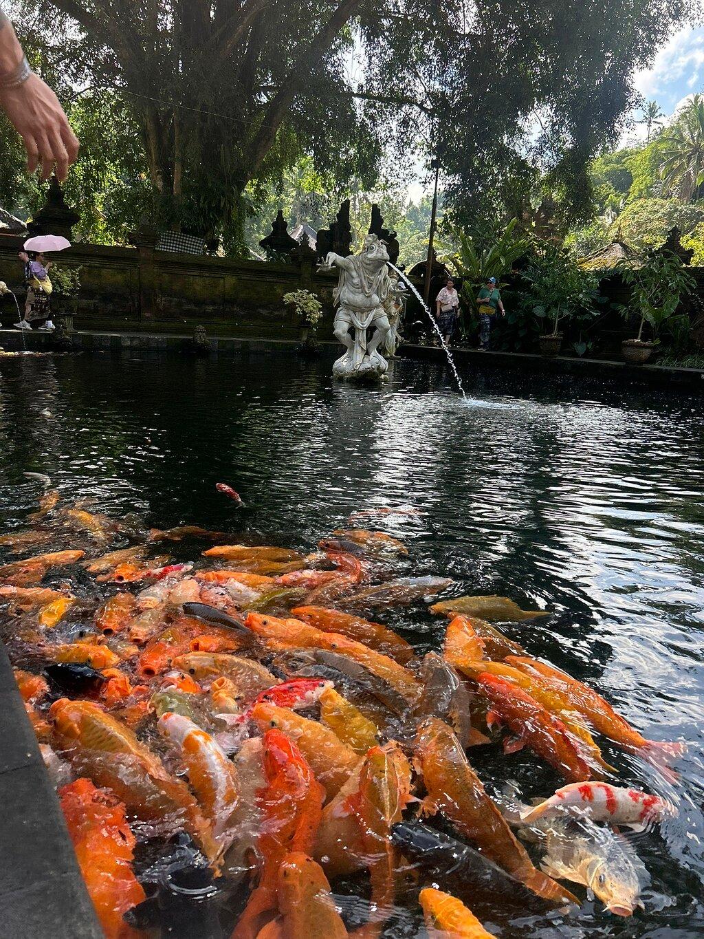 Review photo