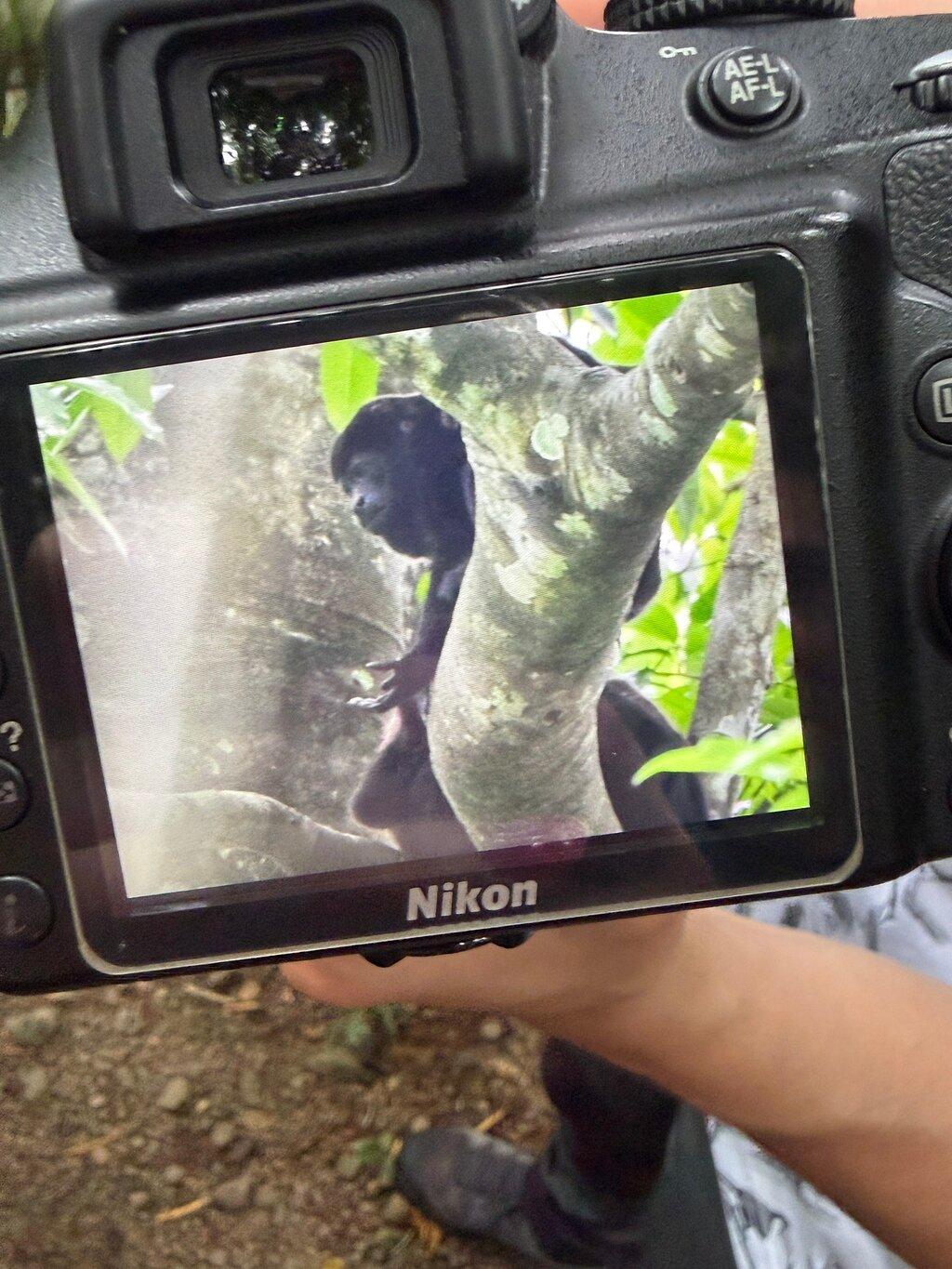 Review photo