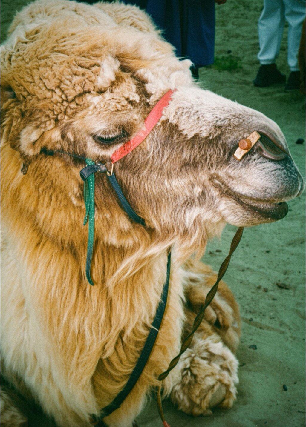 Review photo