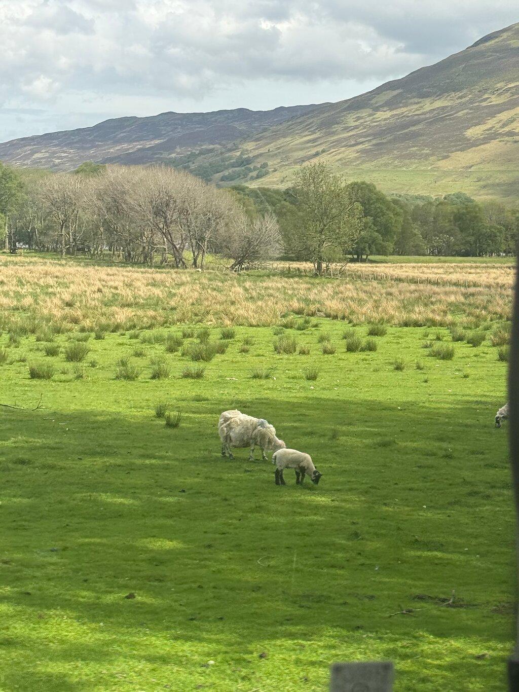 Review photo