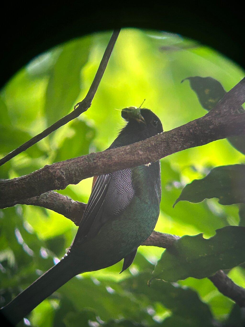Review photo