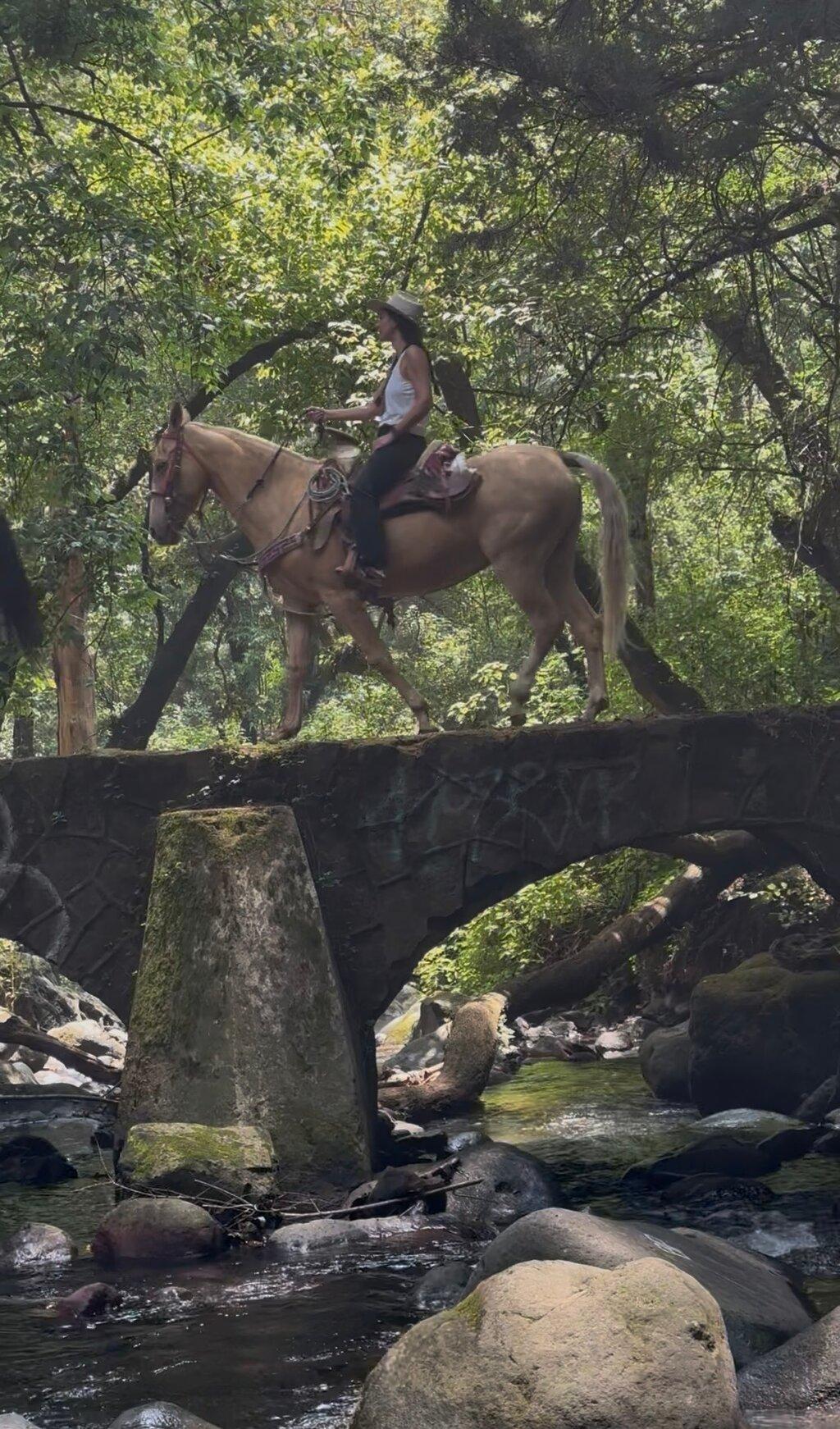 Review photo