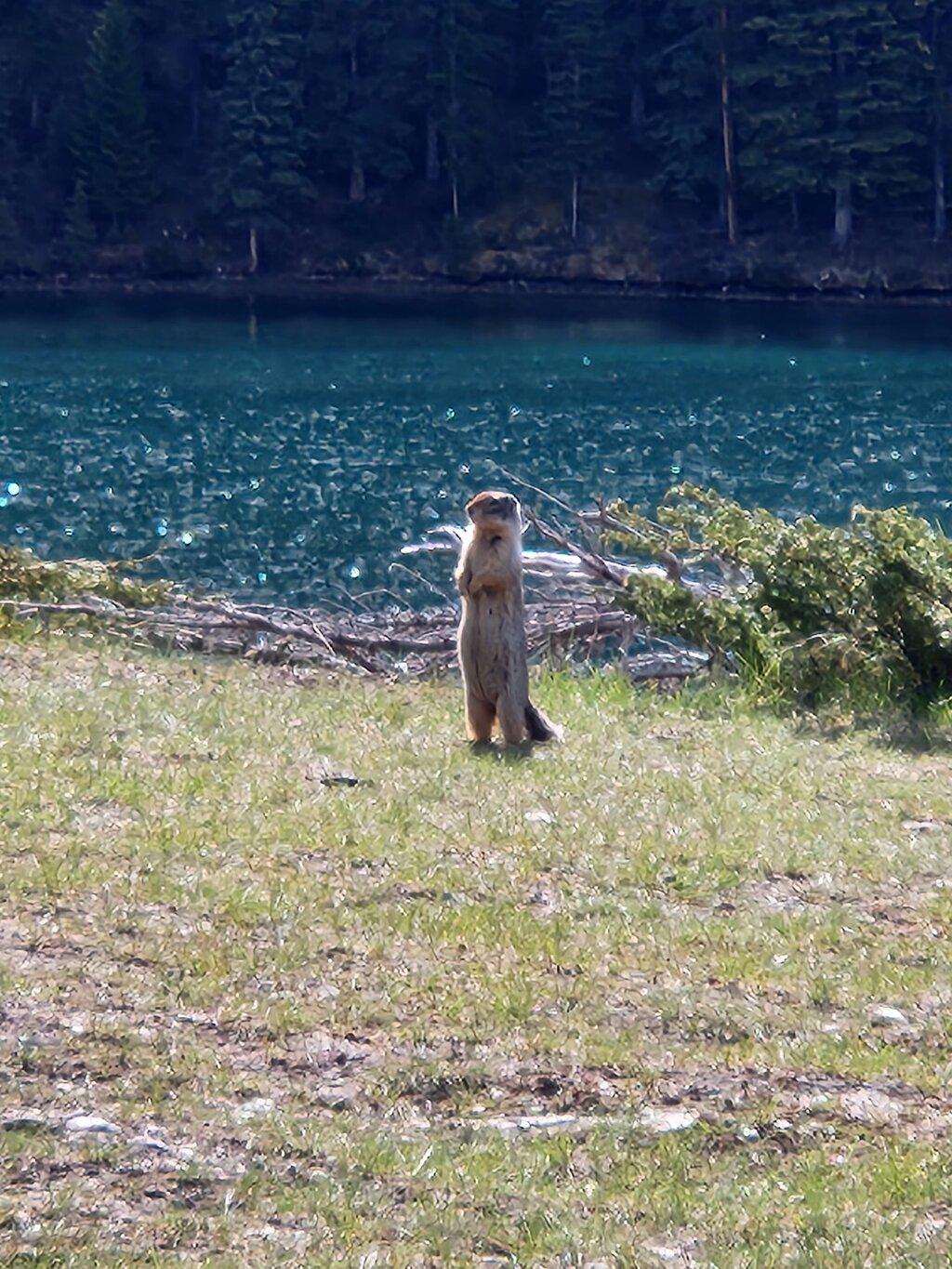 Review photo