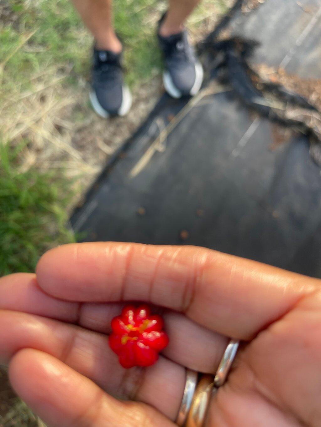 Review photo