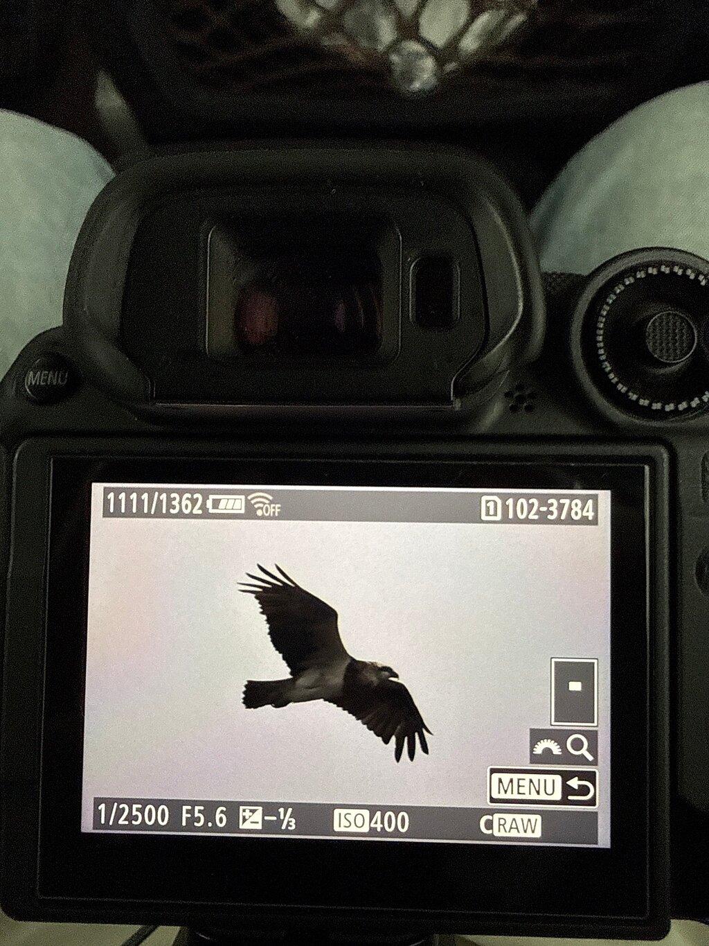 Review photo