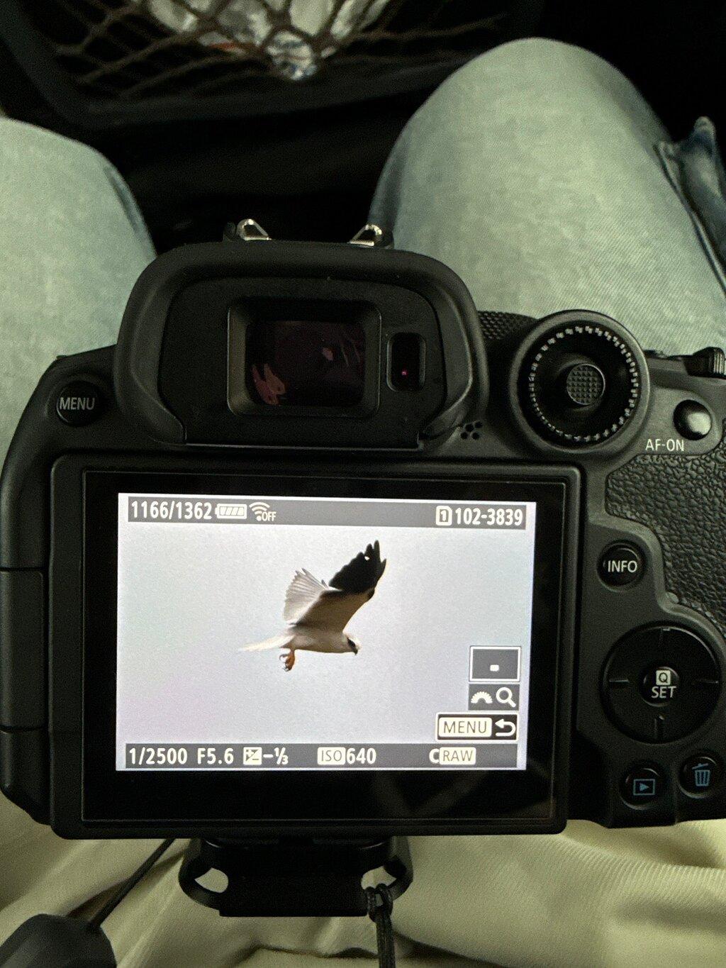 Review photo