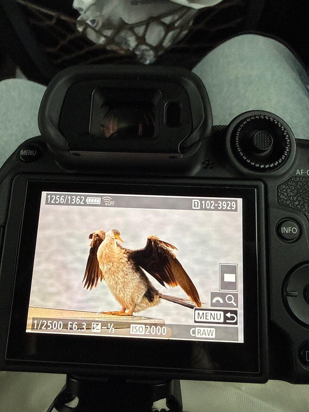 Review photo