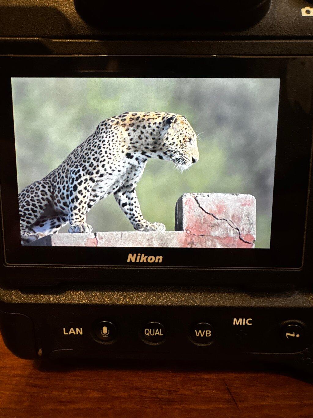 Review photo