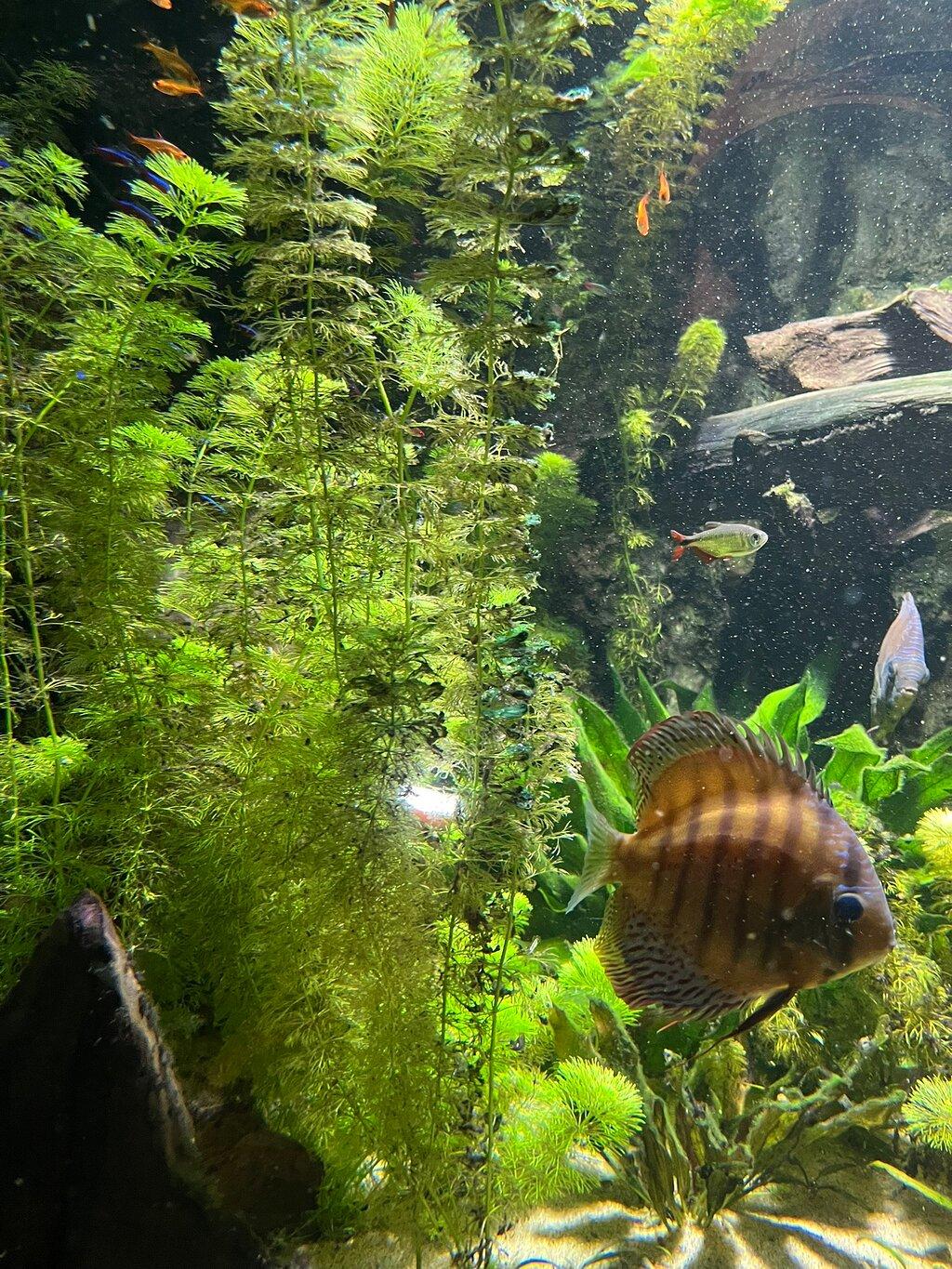 Review photo