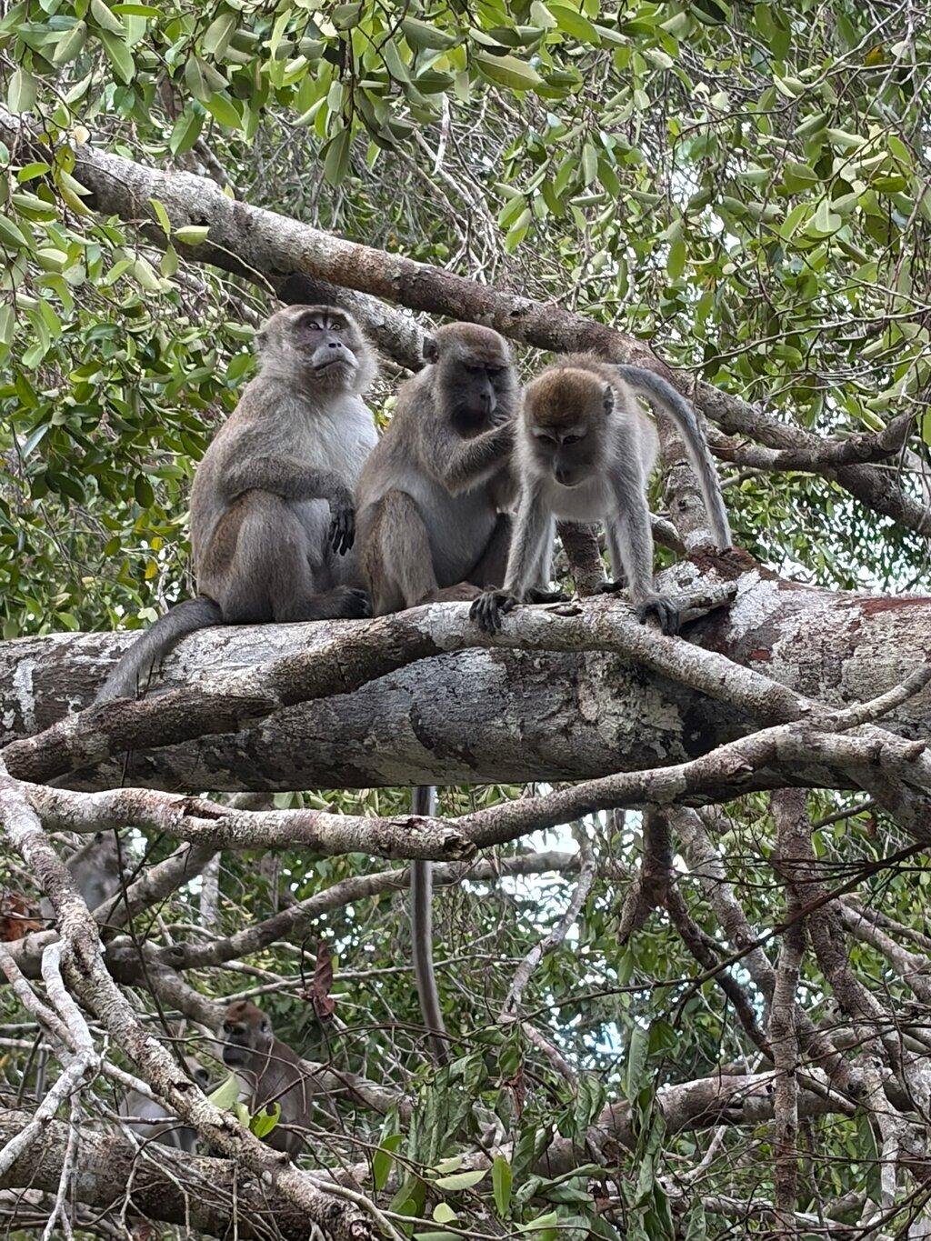 Review photo