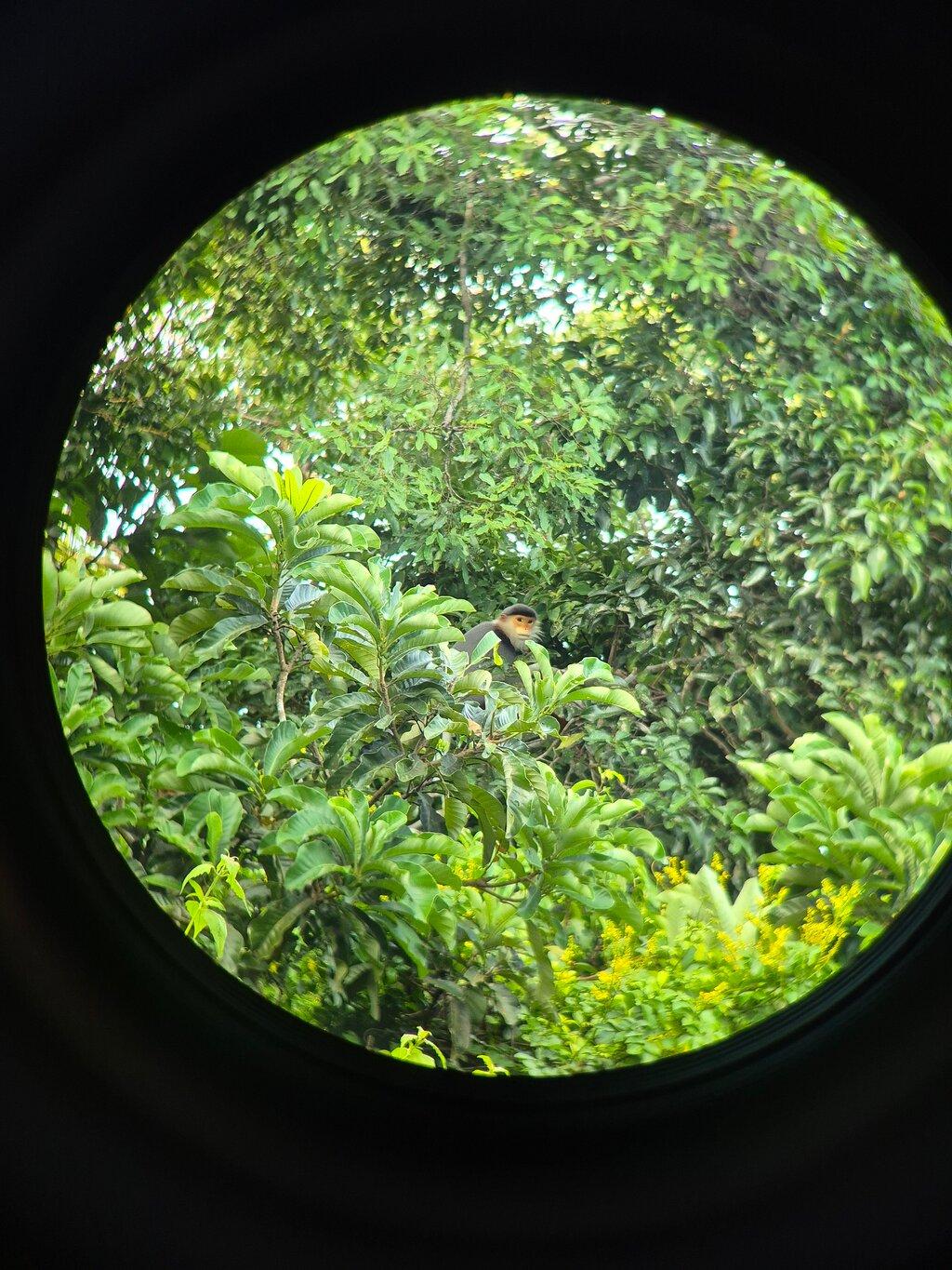 Review photo