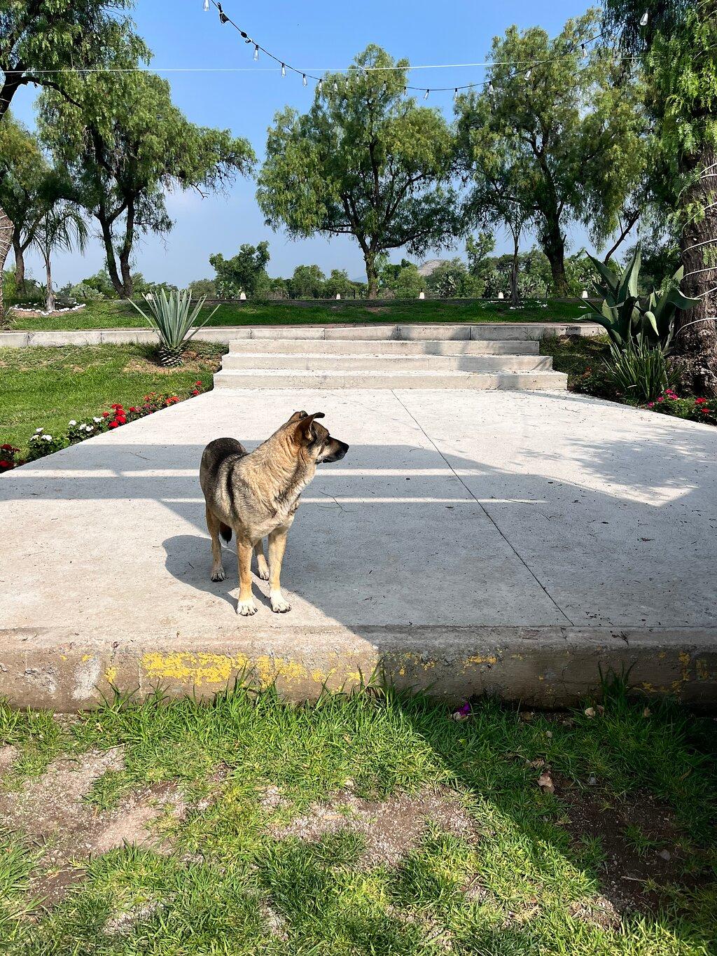 Review photo