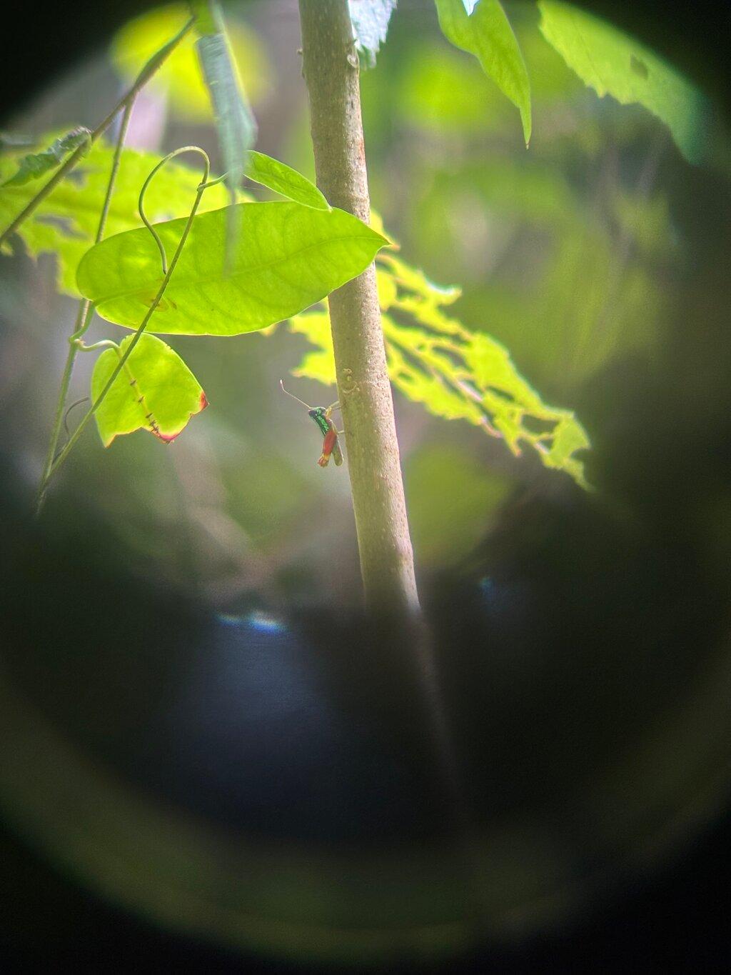 Review photo