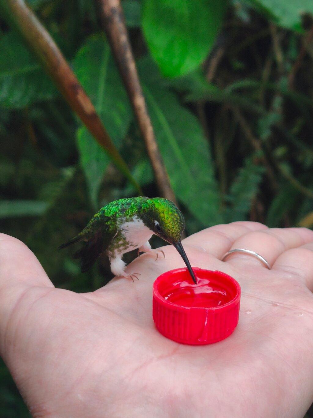 Review photo