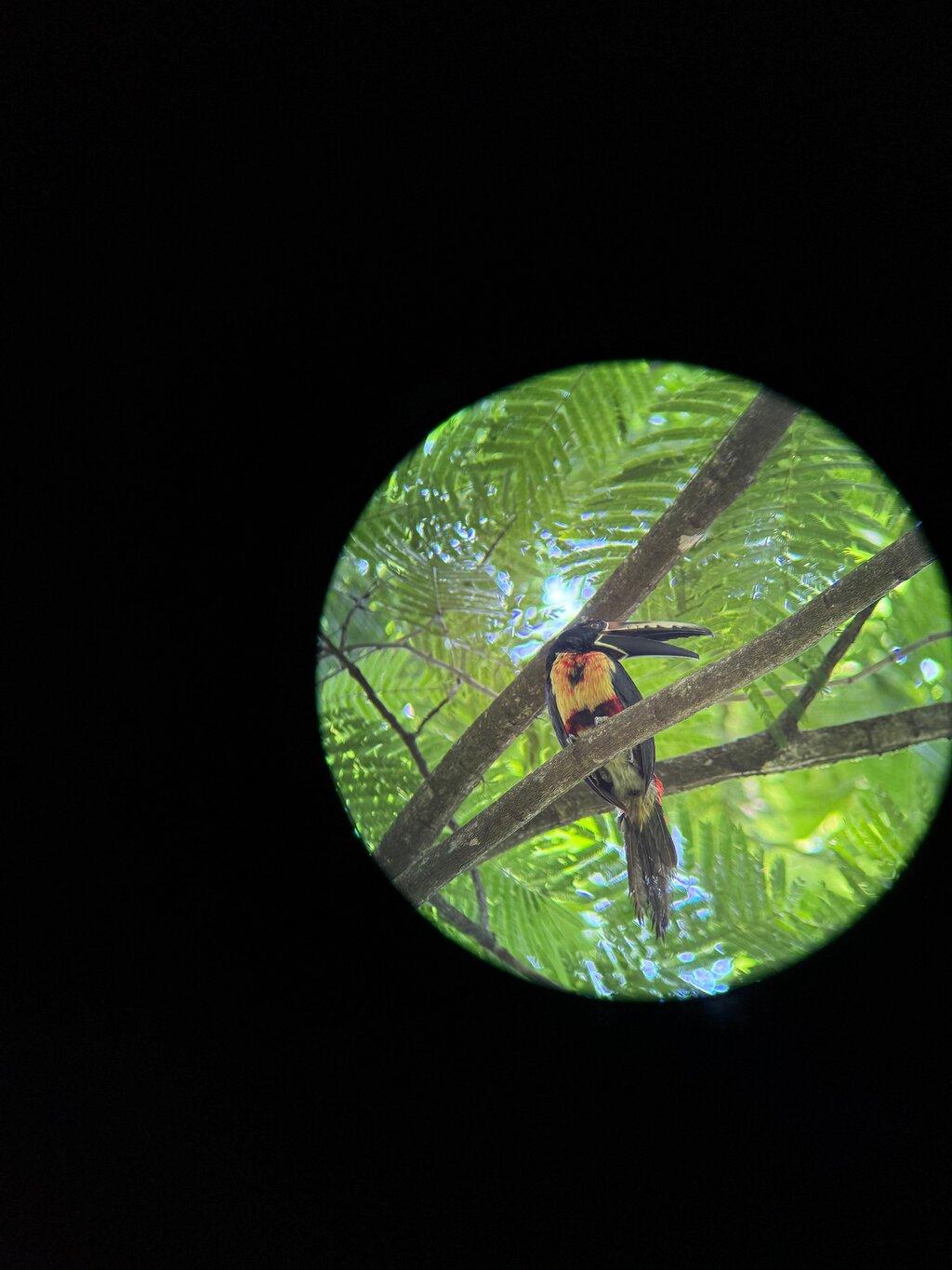 Review photo